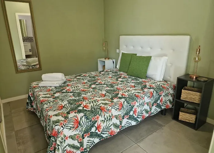 Apartment Canavial Terrace@heart Of Funchal (Madeira)