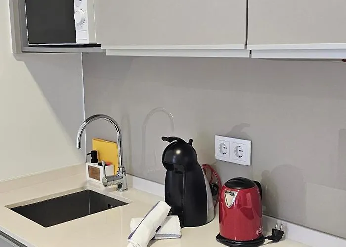 Apartamento Canavial Terrace@heart Of Funchal (Madeira)